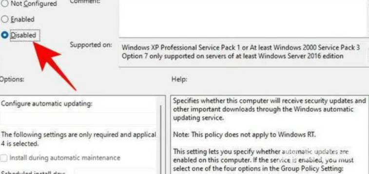 Win11怎么关闭更新(3)