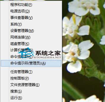 Win8开始按钮不可用怎么办?Win8开始按钮没反应的解决方法