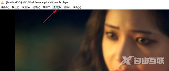 VLC media player如何显示播放信息