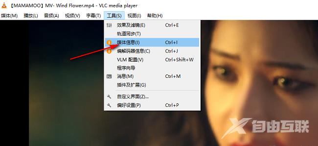 VLC media player如何显示播放信息