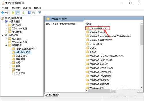 Win10系统怎么用不了flash(5)