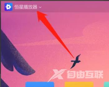 恒星播放器怎么设置鼠标悬停进度条时显示缩略图