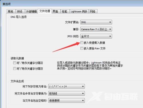 Lightroom怎么设置嵌入快速载入数据