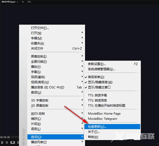Kmplayer怎么进行更新