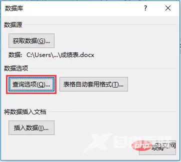 Word技巧分享:如何快速筛选数据