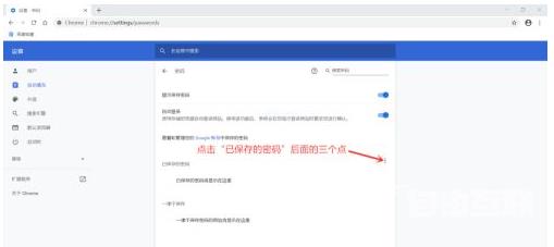 谷歌浏览器怎么导入密码